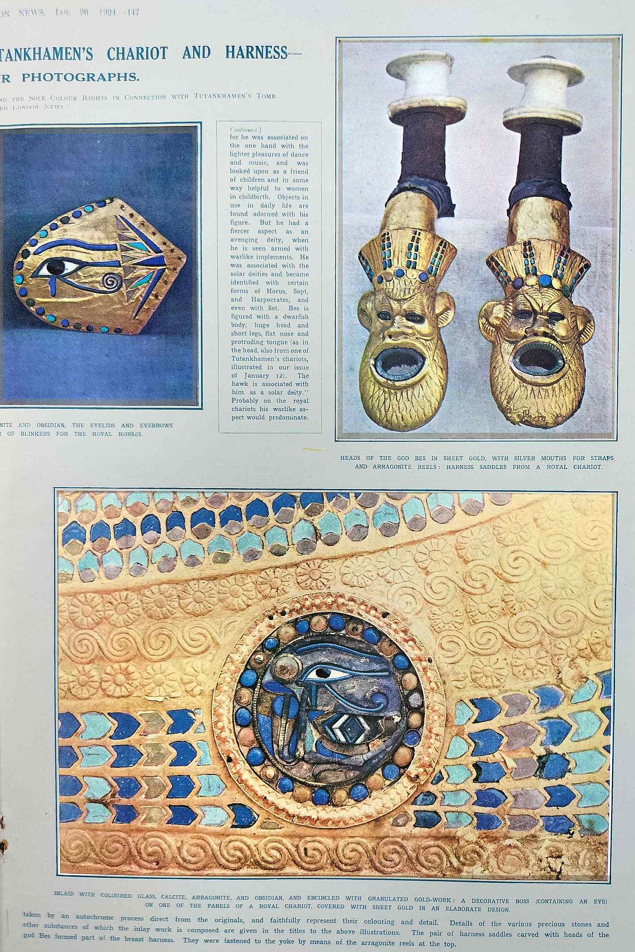 blue and gold 2